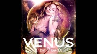 Lady Gaga - Venus (Stems Rework/Hidden Vocals)
