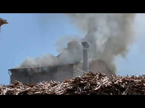 Video: A marrin flakë thëngjilli?