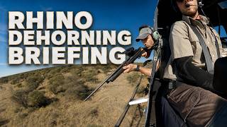 Rhino Dehorning Briefing: The Veterinary Process