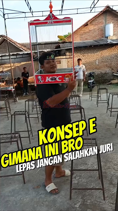 Konsep Terbaru‼️Gantang Burung Orangnya Ikut Digantang