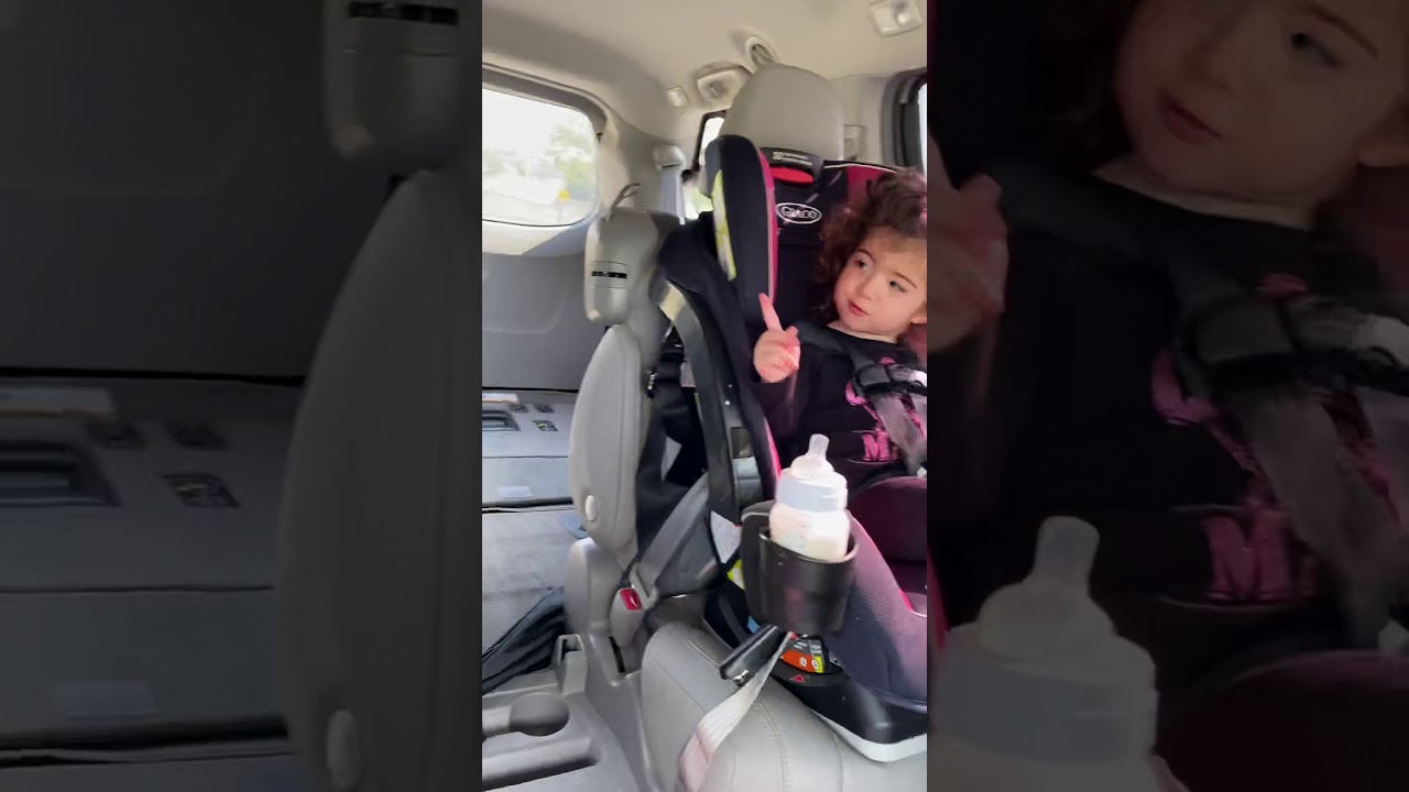 Persian twins arguing in the car