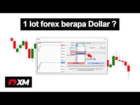1 lot forex berapa dollar