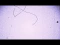 Film grain texture background light purple scratches dust spots imperfections vintage movie noise