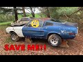 1968 Mustang Fastback "Barn Find" Will Break Your Heart