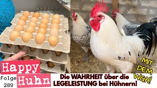 Die Wahrheit über die Legeleistung alter Hühnerrassen! Wie viele Eier legen Hühner? HAPPY HUHN E289