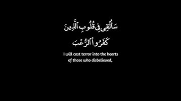 سورة الأنفال SURAH AL-ANFAL #عبدالولي_الاركاني #abdulwali_alarkani