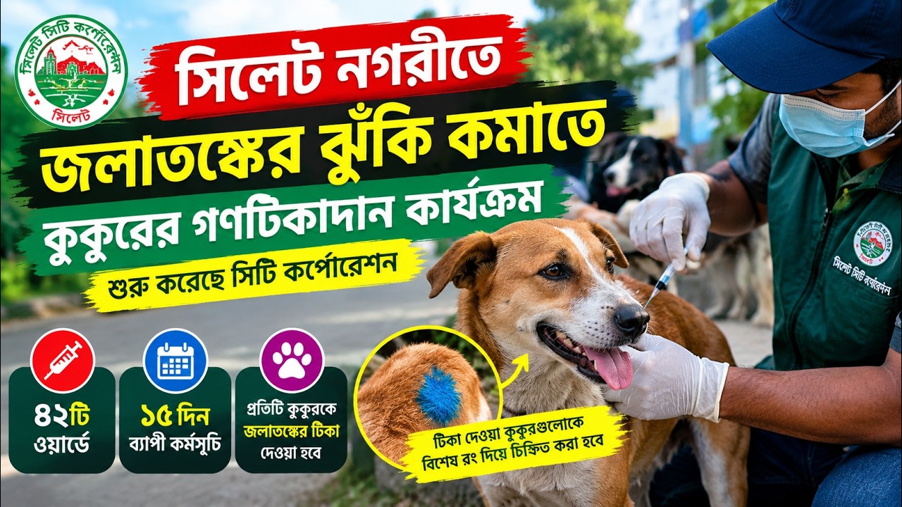 সিলেট নগরীতে জলাতঙ্কের ঝুঁকি কমাতে কুকুরের গণটিকাদান কার্যক্রম শুরু করেছে সিলেট সিটি কর্পোরেশন। নগরীর ৪২টি ওয়ার্ডে ১৫ দিনব্যাপী এ কর্মসূচিতে প্রতিটি কুকুরকে জলাতঙ্কের টিকা দেওয়া হবে। টিকা দেওয়া কুকুরগুলোকে বিশেষ রং দিয়ে চিহ্নিত করা হবে। 


Channel S Television the UK Based Bangla Language television channel available in Europe. For Bangladeshi audience for one of the most powerful electronic media which can raise their voice across the world. 
Sylhet News is a most popular news program in Channel S which is considered as a prime source of Sylhety news in UK.
________________________________________

To watch Channel S in mainland Europe tune to the below Frequencies: From 01/09/2021 our frequency details will be changed. Downlink parameters are: Transponder-97, Frequency 11582 Horizontal, 22.0MS/s, FEC 5/6
________________________________________

জলাতঙ্কের ঝুঁকি কমাতে কুকুরের গণটিকাদান শুরু; ৪২টি ওয়ার্ডে ১৫ দিনব্যাপী  কর্মসূচি | SYLHET NEWS | Mass Dog Vaccination Programme 


#sylhetnews  #sylhet  #sylhetairport  #sylhetbnpassembly #sylhetbnp  #sylhetnewsupdate 
sylhet news, bangla news, breaking news, sylheti news, news today, sylhet, bangladeshi news, news, sylhet live news, bangla news today, bd news, today news, sylhet news today, sylhet latest news, latest bangla news, top bangla news, bangladesh news, rtv news, political news, news update today, today news update, live news, sylhet news update, news rtv, rtv news live, national news, viral news, latest news, bangla news live, online news, live news rtv