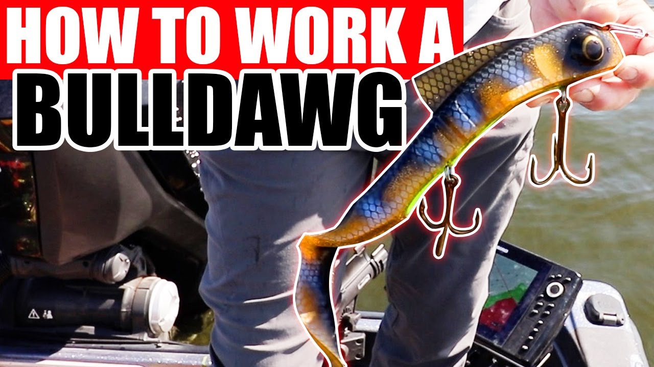 Musky Innovations | Bull Dawg