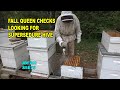 Looking for supecedure hive S5E75 #beekeeping