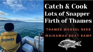 Fishing the Firth of Thames / Snapper rig