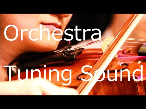 Orchestra Tuning Sound Effects オーケストラのチューニングの音 作業用BGM 睡眠用BGM ASMR