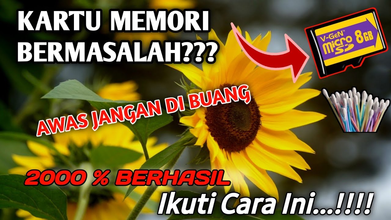 Cara Perbaiki Memori SD Card Yang Tidak Terbaca di Hp ( Rusak ) 