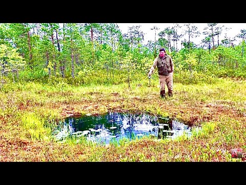 Видео: Америкийн бялуу жор