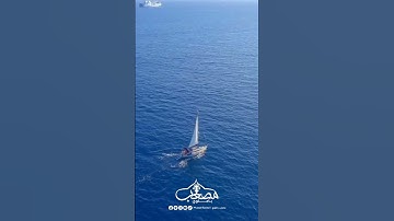 مقتطفات صلاة التراويح الليلة التاسعة عشرة _2023 #تلاوة_مميزة #صلاة_التراويح #رمضان #سورة_النساء