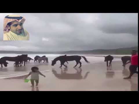 ياكم السوق العز بعنا وشرينا 