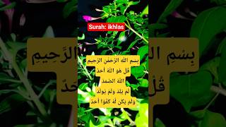 Surah Ikhlas Egzo Ibrahim
