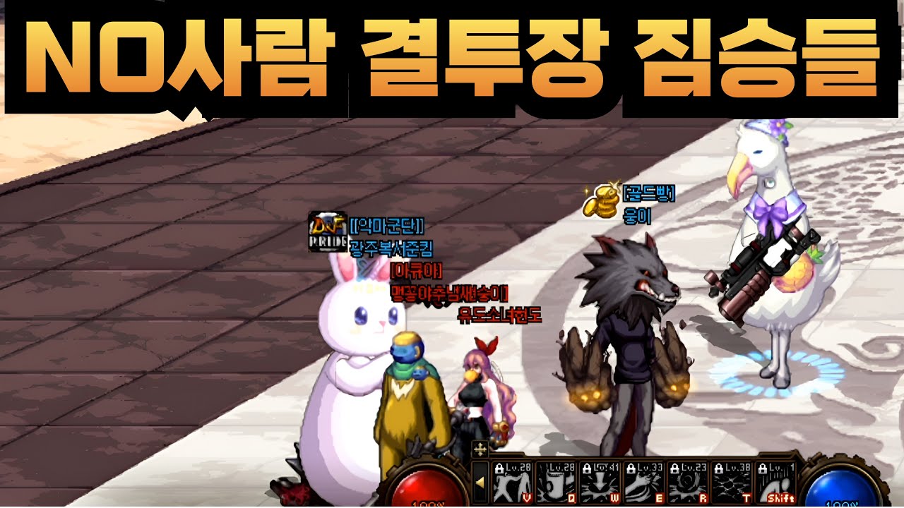 던파 말이 통하지 않는 짐승들 특집 [4:4스폰 풀버전]