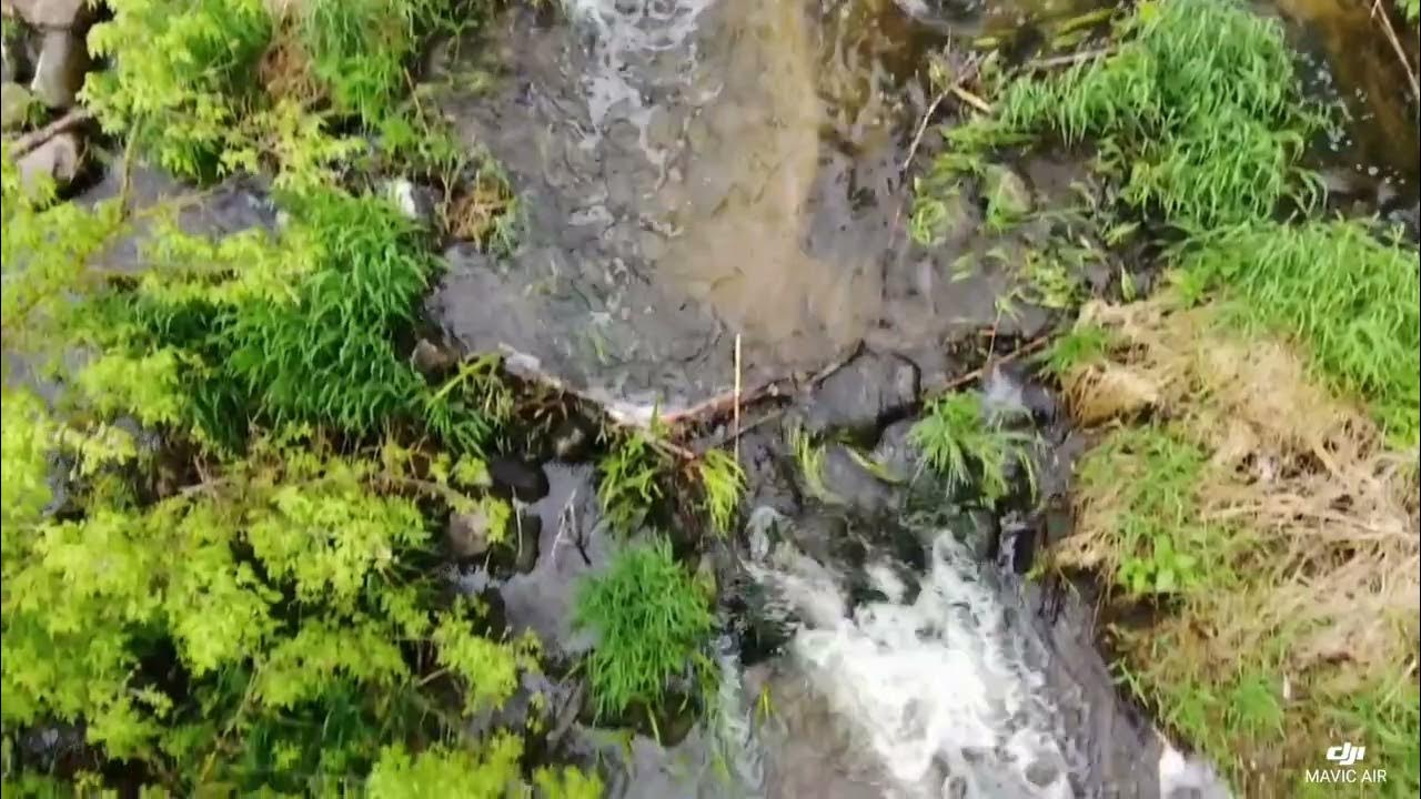 PisiaGągolina nature fan rzeka panorama YouTube