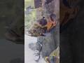 #fish #acuarium #fische #fisch #akuarium #nemo #fishingvideo #fishvideo