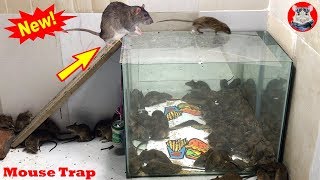 Membuat Perangkap Tikus Mudah Beste Ideen Für Rattenfallen Top 10 Piège À Souris Électrique