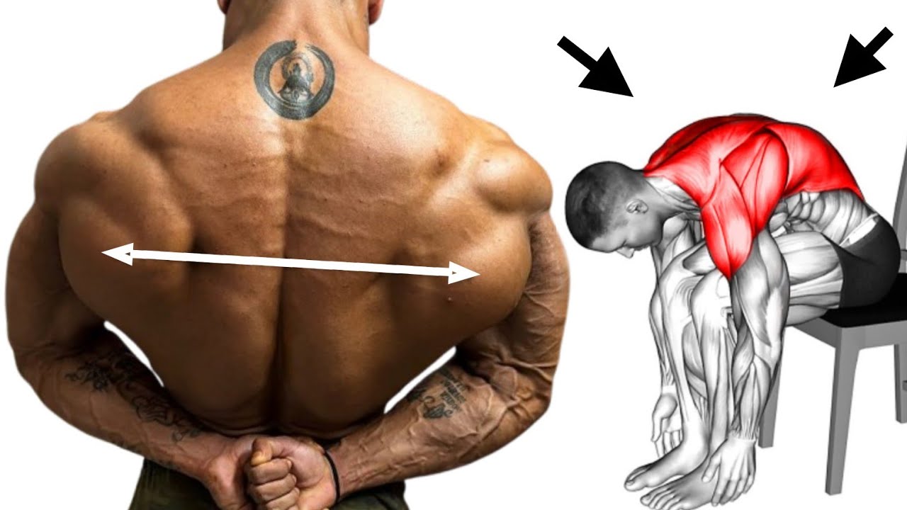Standard Back Workout Gym Really Best Exercises - YouTube