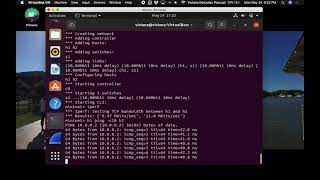 Celebrity EEL5718 - Lab 0 Mininet Walkthrough Wealth