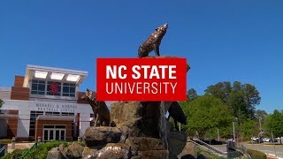 N.C. State University