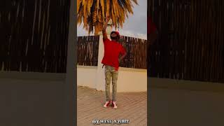 Mr drew C A S E  remix  ft mophty legacy Official Dance Video by kwesi xZibit
