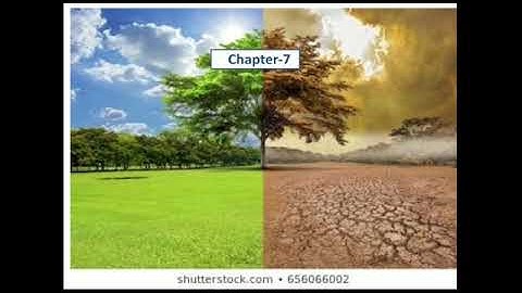 Class 4 | SST | Chapter 7 | India- The Climatic Conditions