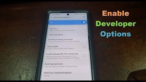 Enable Developer Option on the Note 10 and Note 10 Plus