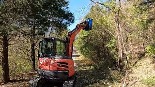 Brushcutting a driveway with the excavator flail mower