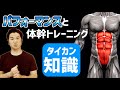 体幹トレーニングの３つの効果とポイント！　ジャンプ　スピード　俊敏性などのスポーツパフォーマンスへの影響とは！？【体幹トレーニング知識　第①弾】