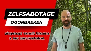 ZELFSABOTAGE uitgelegd vanuit trauma en het zenuwstelsel.