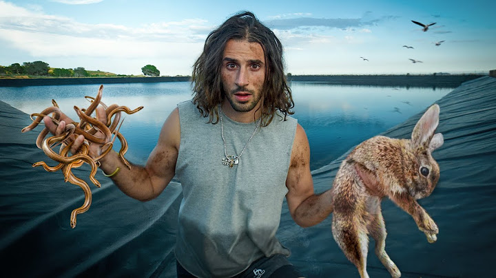 I save animals from pools for 24 hours! (Snake nest)