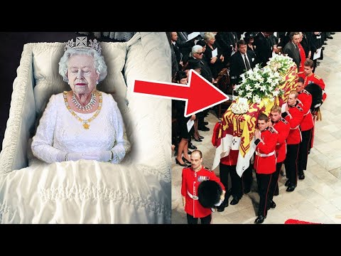 Video: Kraliçe'nin elmas Jübile için köpek Giydir