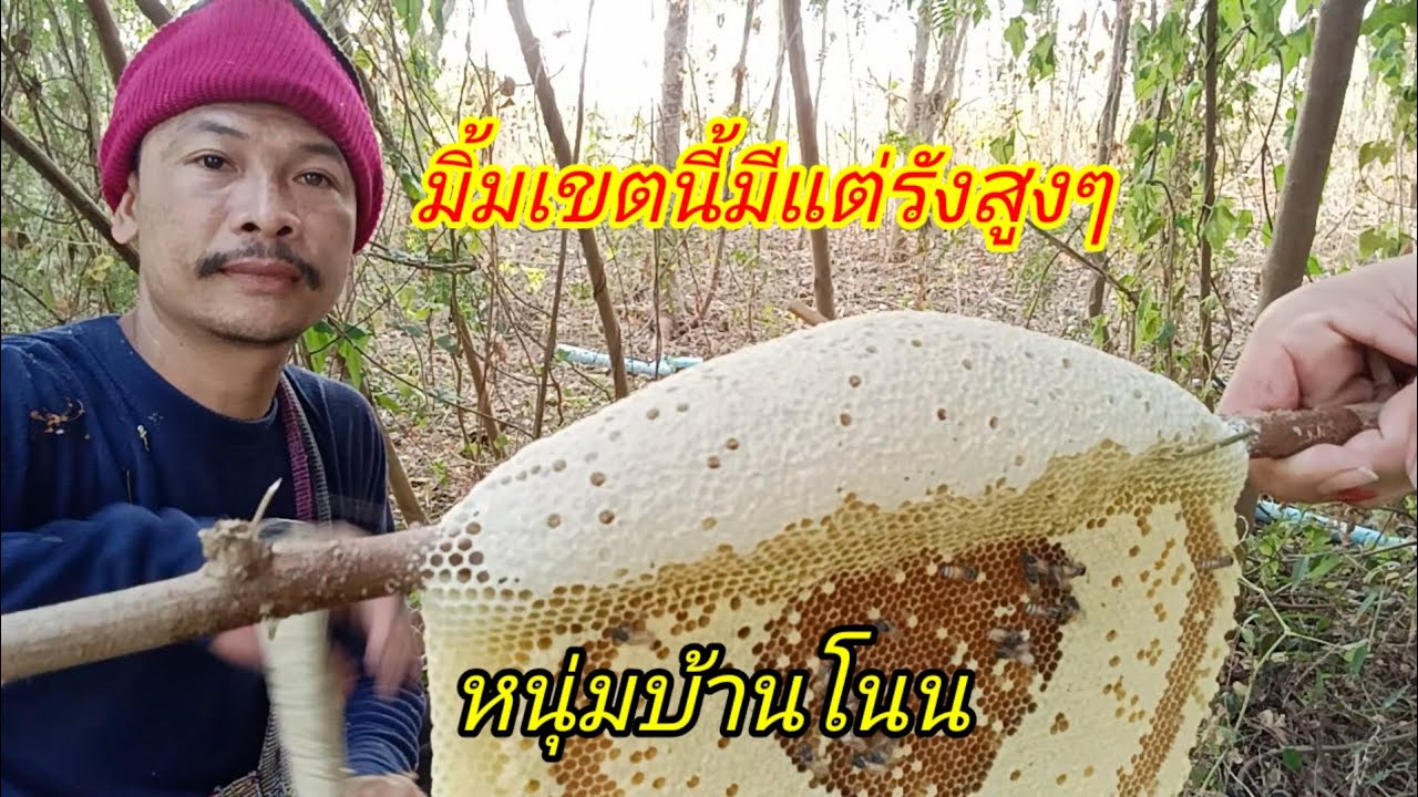 หัวน้ำสวยแบบนี้แต่โคตรดุ  มิ้มเขตนี้เอายากมาก/หนุ่มบ้านโนน