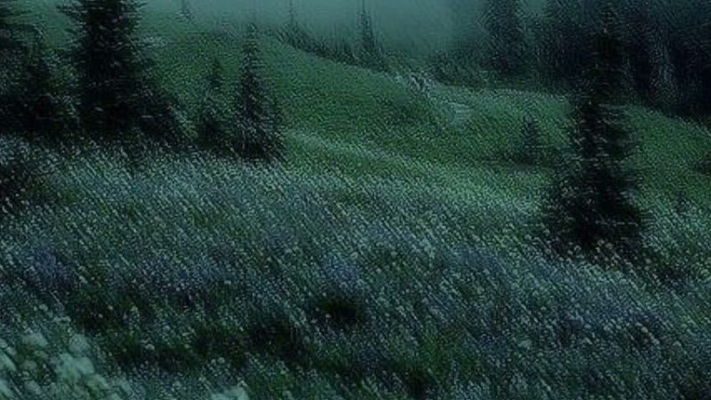 Welcome And Good Bye (Super Slowed And Reverb)