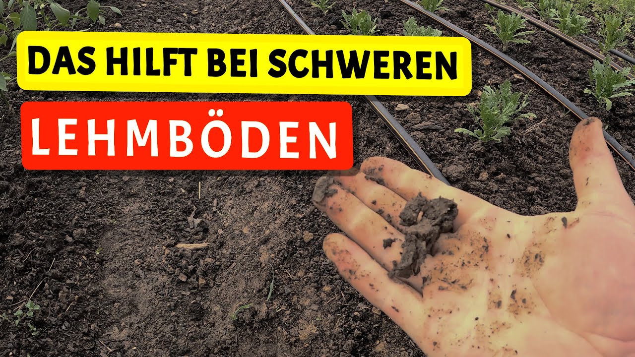 Guter Boden ohne umzugraben (No Dig)