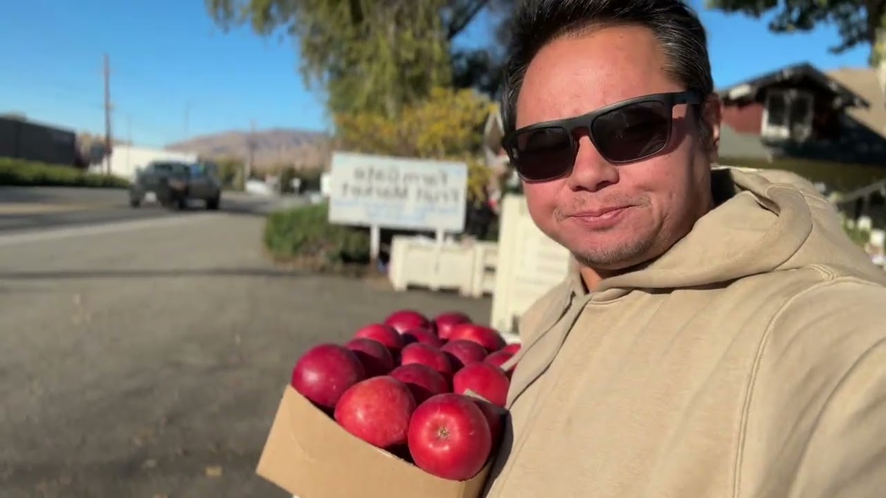 World biggest Apple farm 
