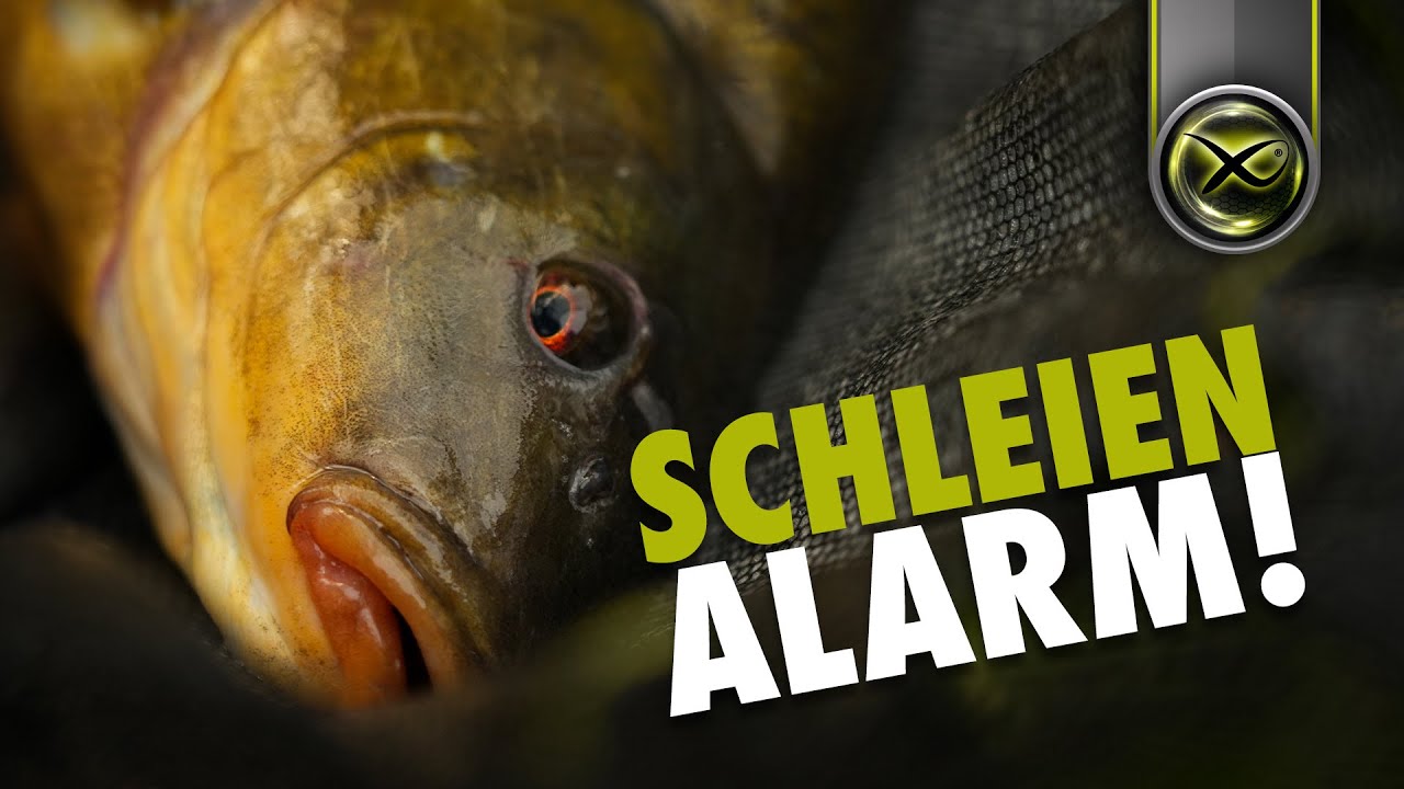 So fängst Du JETZT dicke Schleien!