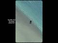 884 - birds view