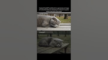 A visual comparison between Google Gemini and ChatGPT