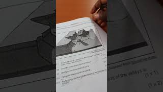 Full Grade 11 2025 Geography Paper 1 Geomorphology Revision News