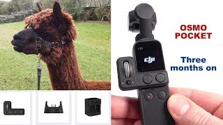 Thumbnail for DJI Osmo Pocket - REVIEW 3 months on