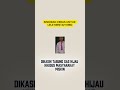 #shorts #mbg #sindirankeras #sindiranpedas #pemerintah #indonesia #kritikan #netizen