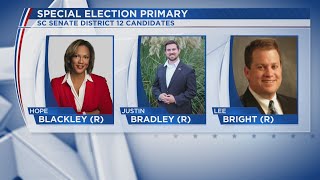 Lee Bright wins SC Senate District 12 special election primary
