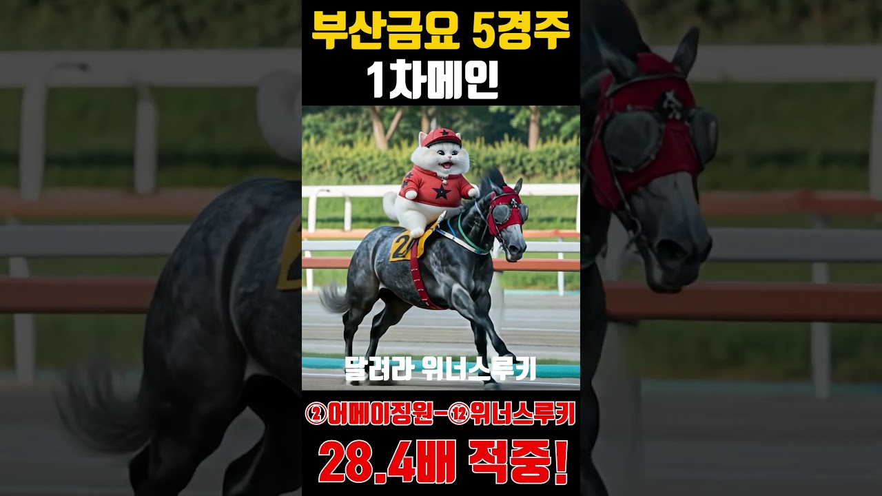 부산은김남성#경마#경마예상 #경마베팅 #경마온라인 #서울경마#부산경마 #automobile #horse #고양이