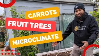 Container Garden Growing - Permaculture in Tiny Spaces - Planting Carrots and Dwarf Tree Update by My Family Garden 2,865 views 11 months ago 12 minutes, 23 seconds