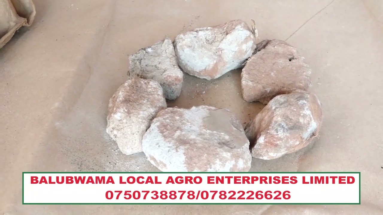 Tweyongere okuyiga okuteekateeka Brooder