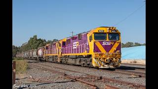 Trackside: N472 and N455 on SSR's Daylight Running 9193 Quambatook Grain- 17/4/25